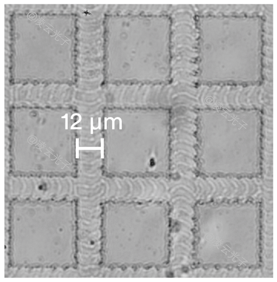 微信公眾號圖片