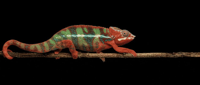 微信公眾號(hào)圖片