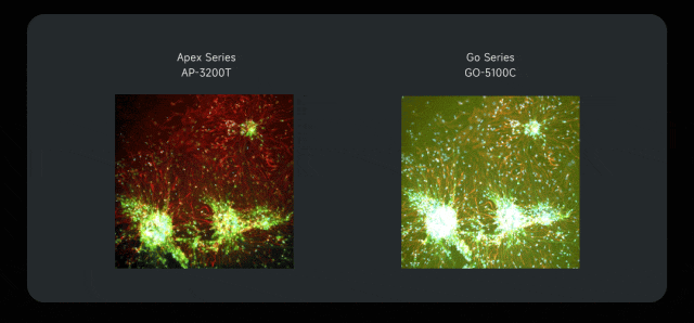 微信公眾號(hào)圖片