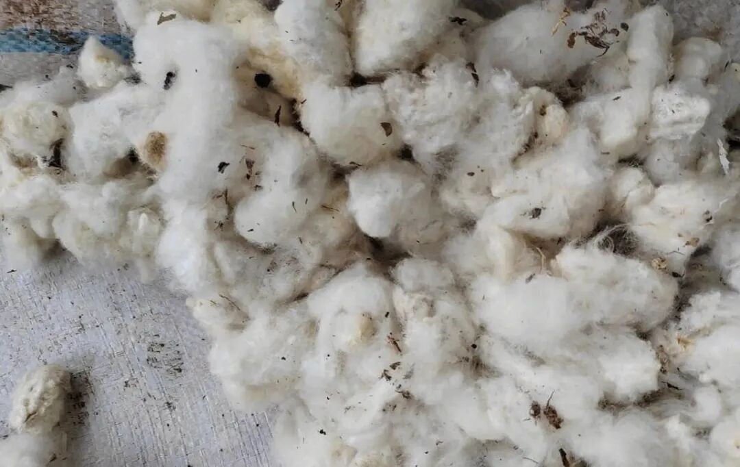 微信公眾號圖片