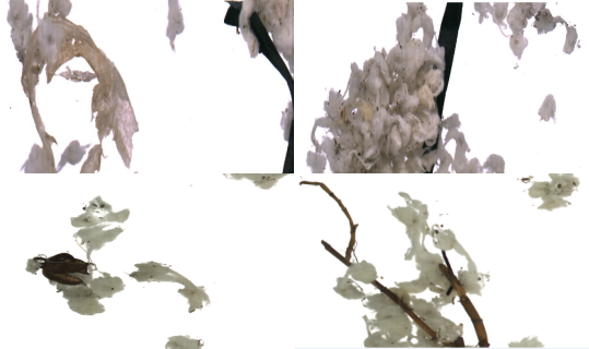 微信公眾號圖片