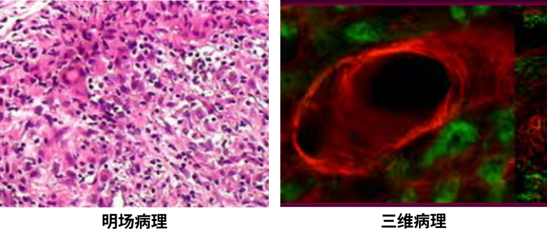 微信公眾號(hào)圖片