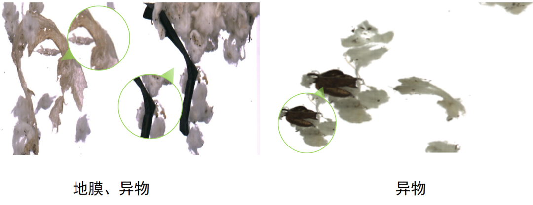 微信公眾號圖片